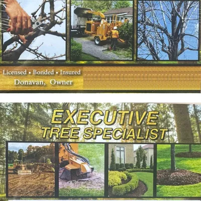 Executive Tree Specialist
