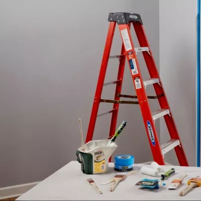 Donald McLane Pro Painting