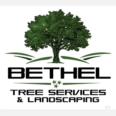 Bethel & Landscaping lawn care