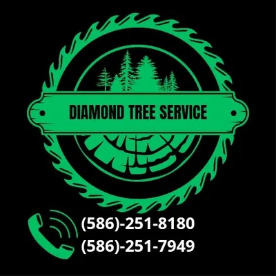 DIAMOND TREE SERVICE