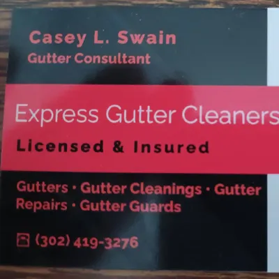 Express Gutter Cleaners