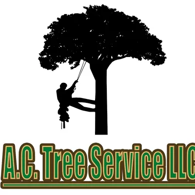 A C Tree Service