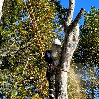 Fletchers Tree Care