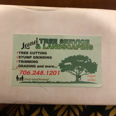 Leonel Tree Service & Landscaping