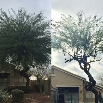 Landscaping and Junk Removal