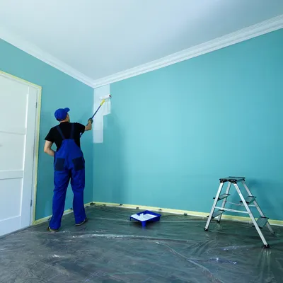 EMC painting pro