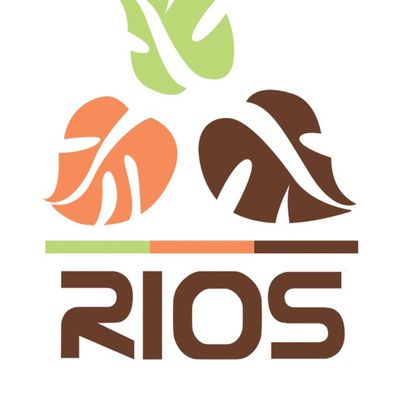 Rios Brick Pavers