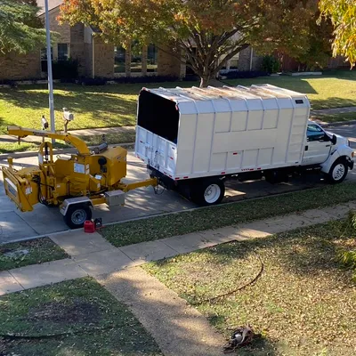 ? Tornados Tree Service ?