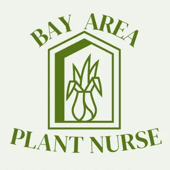 Bay Area Plant Nurse