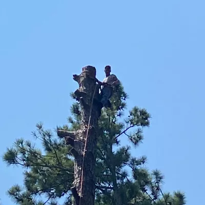 East Coast Tree Service