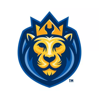 Service Lion Plumbing Heating Air Electric