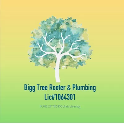 Bigg Tree Rooter & Plumbing
