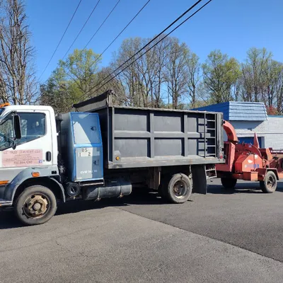 Latin Landscaping & Tree Services LLC