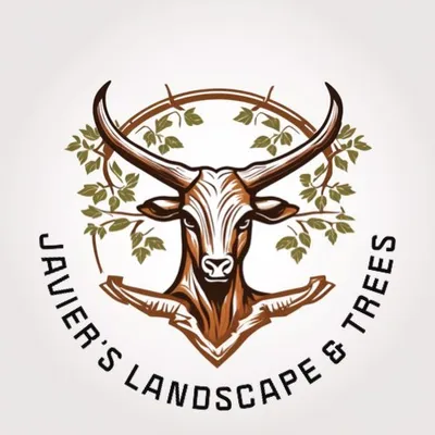 Javiers landscape/ tree trimming