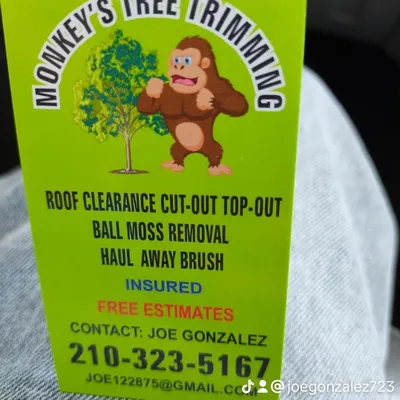 monkeys tree trimming