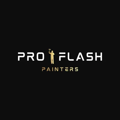 ProFlash Painters