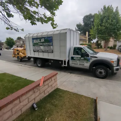 Aguilar Tree Service
