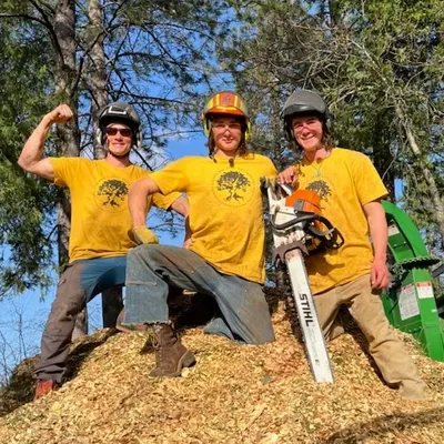 Lightning Tree Enterprises
