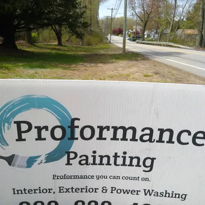 Proformance Painting