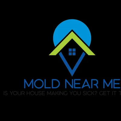 Mold Near Me