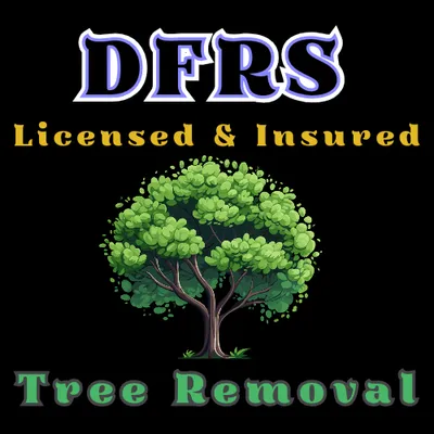 DFRS