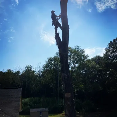 Kiw With a Chainsaw LLC