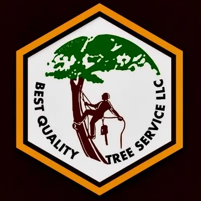 Best Quality tree services