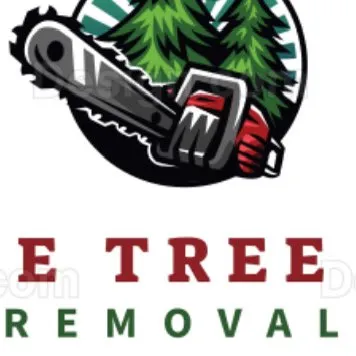 E Tree Removal & more.