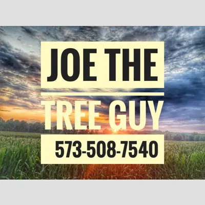 Country Tree services