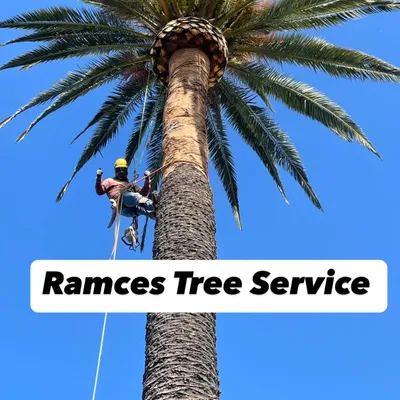 Ramces Tree Services