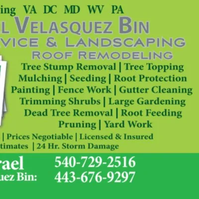 Israel Velasquez Bin Tree service & Landscaping