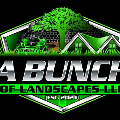 A Bunch of Landscapes LLC