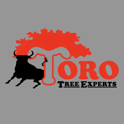 Toro Tree Experts