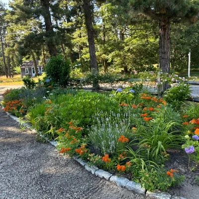 ApisBloom landscape and Gardens