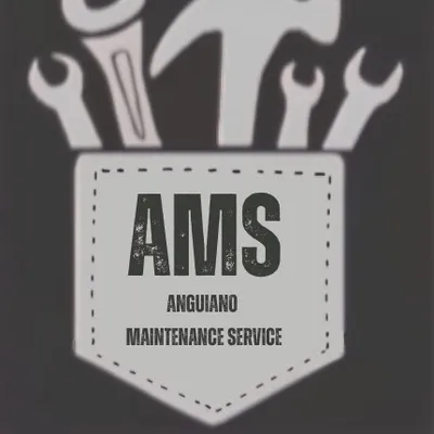 Anguiano maintenance service