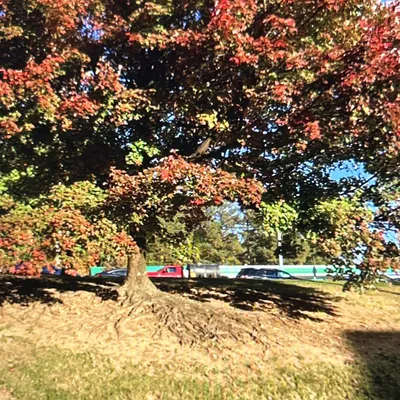LCR Landscaping