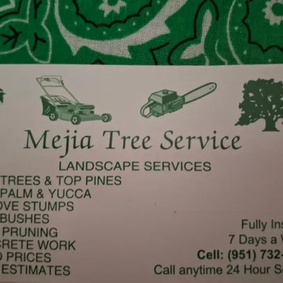 Mejia Tree Services