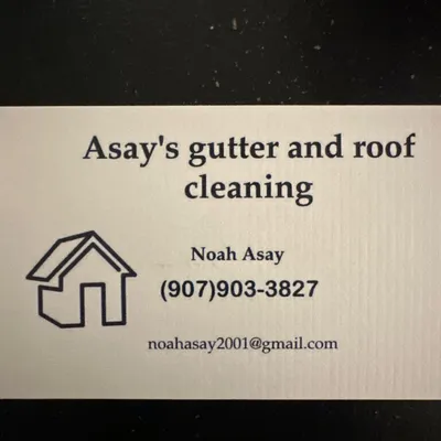 Asay gutter and roof cleaning