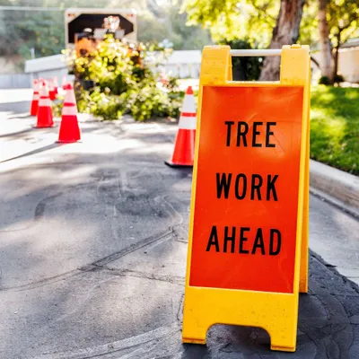 Thrive Tree Experts