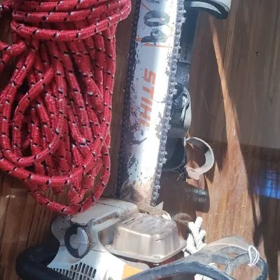 Clifford Marshall Tree Removal