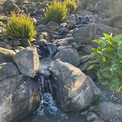 PT ‘s Landscape
