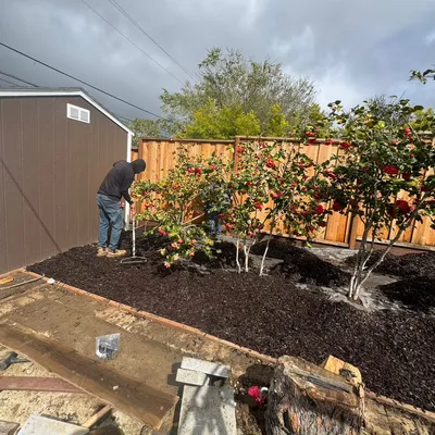 general gardening services