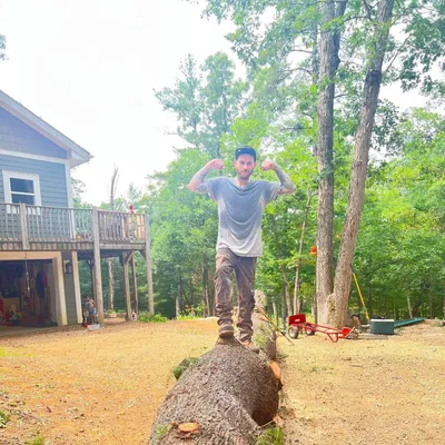 Drop zone tree care LLC