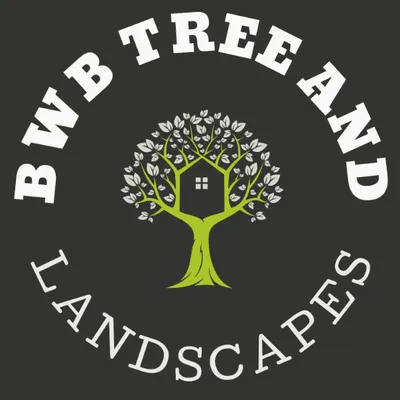 BWB Tree and Landscapes