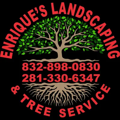 Enrique’stree&lawn service