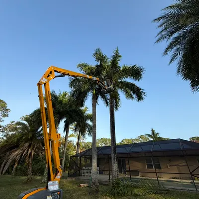 K&B Tree Trimming and Removal