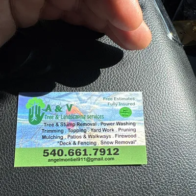 A&V tree service & landscaping
