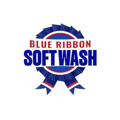 Blue Ribbon Gutter and Soft Wash