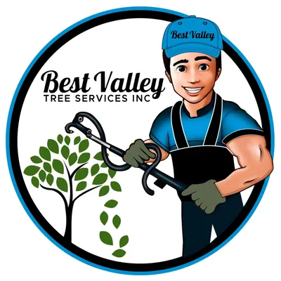 Best Valley Tree Services
