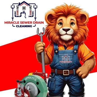 Miracle Sewer Drain LLC